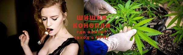 ECSTASY Абаза