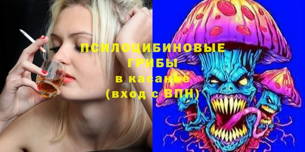 ECSTASY Абаза