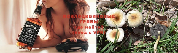 ECSTASY Абаза