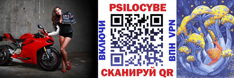 Псилоцибиновые грибы Psilocybe  omg ссылки  Отрадный  продажа наркотиков 